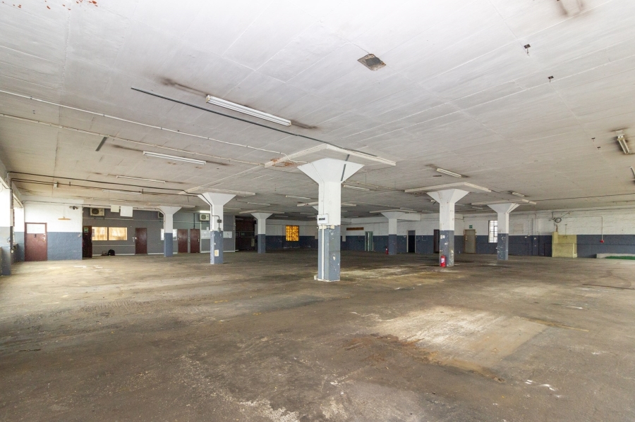 To Let commercial Property for Rent in Korsten Eastern Cape